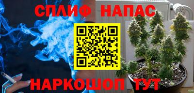 mdpv Новокубанск