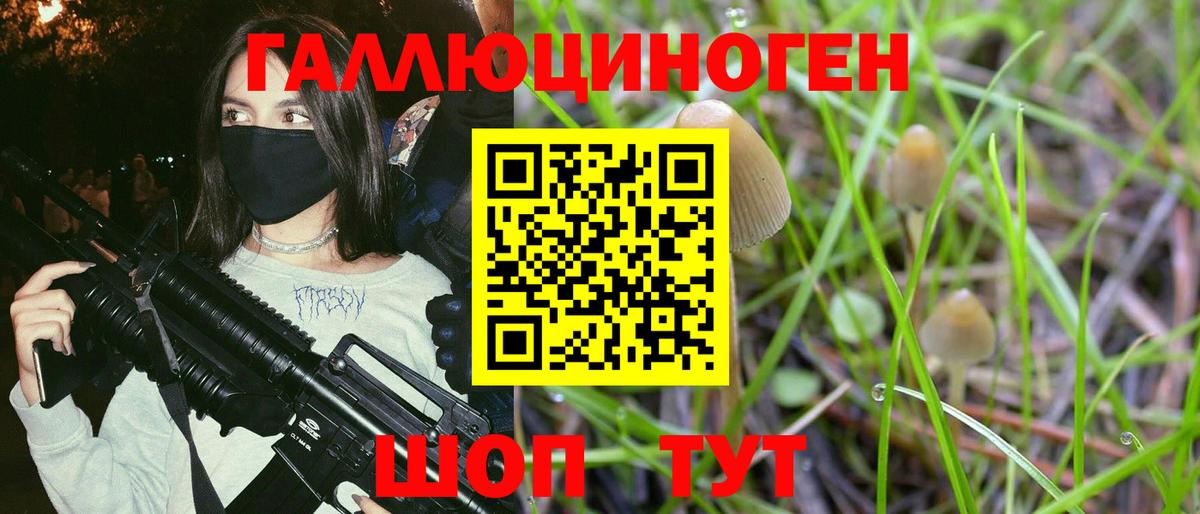 Псилоцибиновые грибы Cubensis Тихорецк